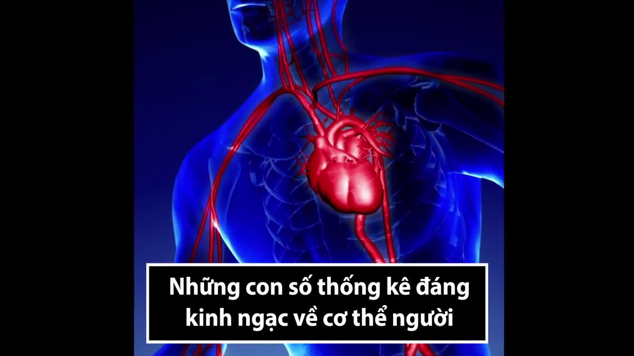 Những con số thống kê đáng kinh ngạc về cơ thể người