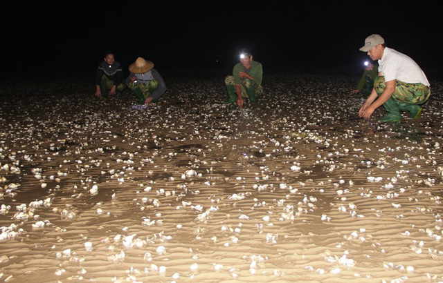 nguoi nuoi ngao lao dao nhung ngay can tet