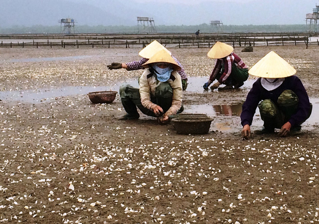 nguoi nuoi ngao lao dao nhung ngay can tet