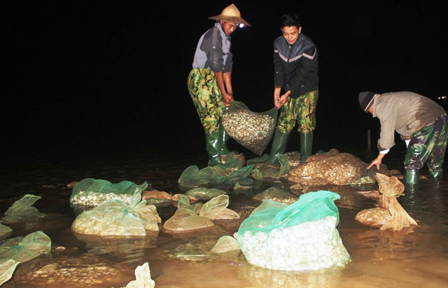 nguoi nuoi ngao lao dao nhung ngay can tet