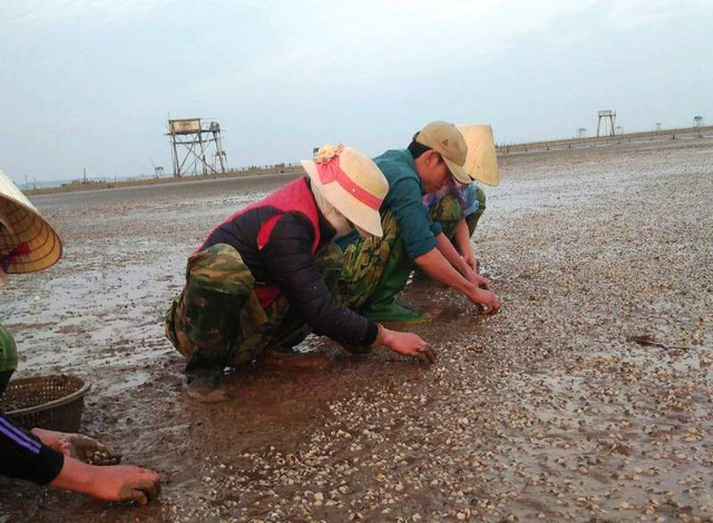 nguoi nuoi ngao lao dao nhung ngay can tet