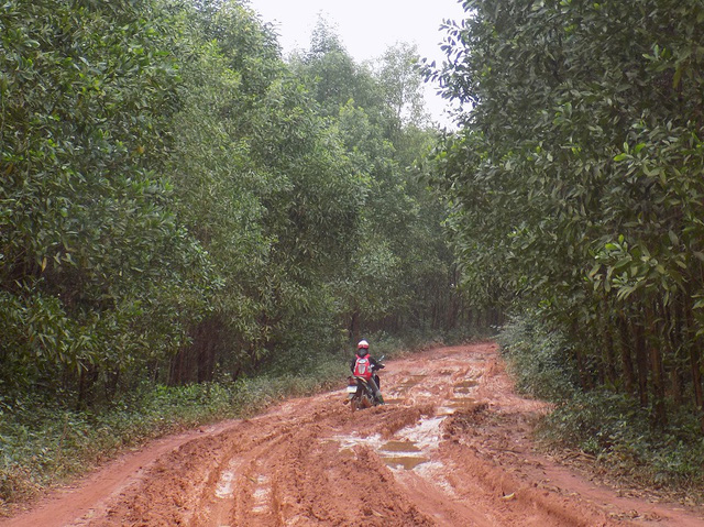 duong qua lay loi hoc sinh phai chuyen sang tinh khac hoc