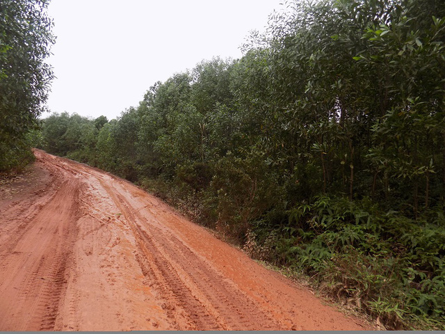 duong qua lay loi hoc sinh phai chuyen sang tinh khac hoc