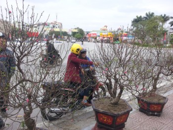 Miền Bắc đón Tết trong thời tiết ấm áp, khô ráo