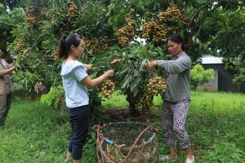 Bộ mặt NTM Sơn La khởi sắc: Sông Mã bứt phá xây dựng nông thôn mới