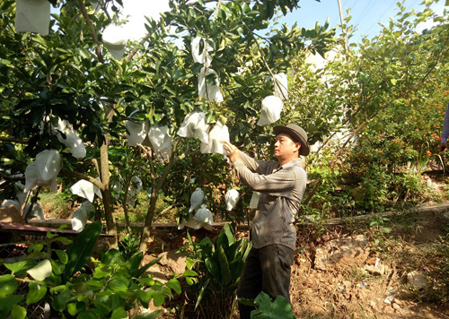 huyen muong la da co xa dau tien dat chuan nong thon moi