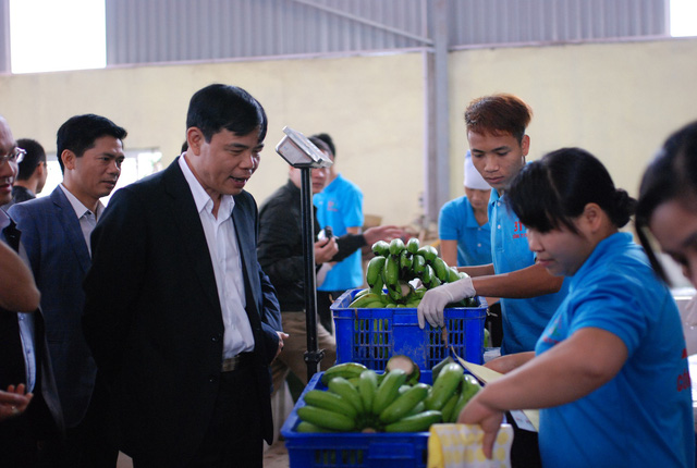 Bộ trưởng Bộ Nông nghiệp: “Thiên tai khốc liệt, chúng ta vẫn vượt khó đi lên” bo truong bo nong nghiep thien tai khoc liet chung ta van vuot kho di len