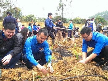 Đoàn Khối các cơ quan tỉnh ra quân Tháng thanh niên năm 2017