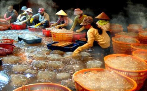 ngu dan thanh hoa duoc mua vang trang