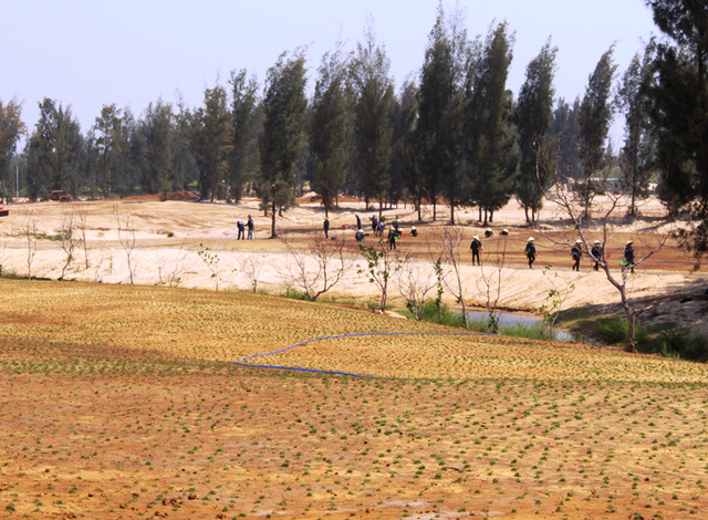 phu yen nhan thieu sot vu xoa rung de kip thi hoa hau