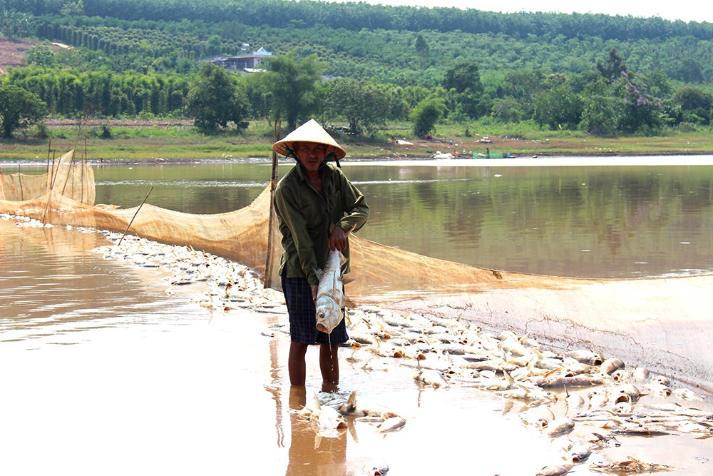 hang chuc tan ca bat ngo chet trang nguoi dan lam canh khon cung