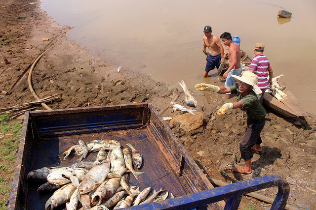 hang chuc tan ca bat ngo chet trang nguoi dan lam canh khon cung