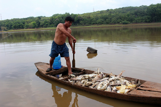 hang chuc tan ca bat ngo chet trang nguoi dan lam canh khon cung