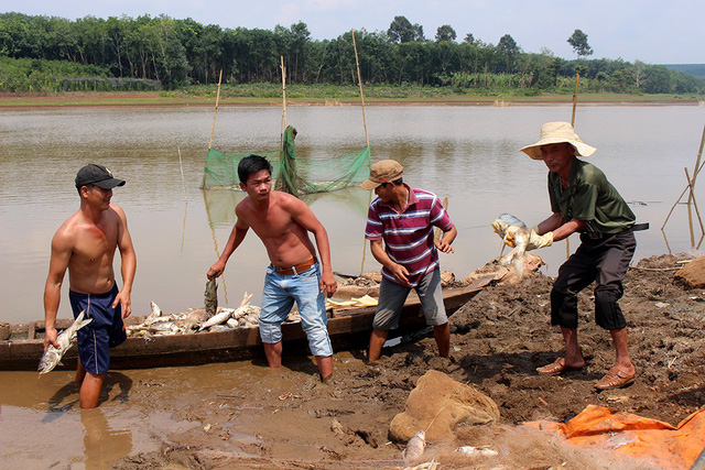 hang chuc tan ca bat ngo chet trang nguoi dan lam canh khon cung