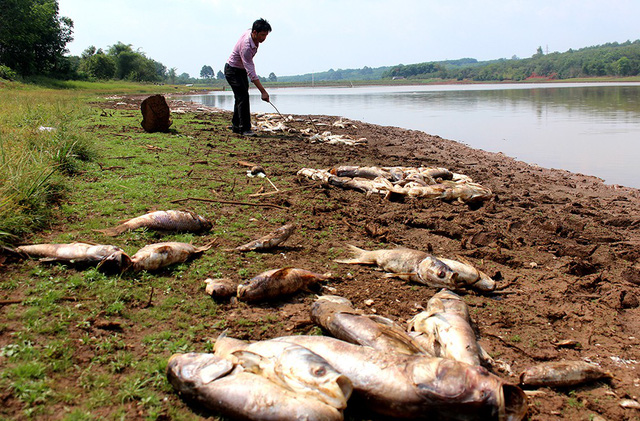 hang chuc tan ca bat ngo chet trang nguoi dan lam canh khon cung