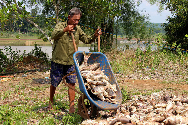 hang chuc tan ca bat ngo chet trang nguoi dan lam canh khon cung