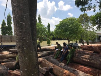 Bộ Công an đang vây bắt vụ phá rừng lớn tại Vườn quốc gia Yok Đôn