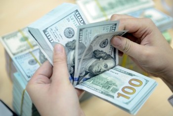 Tỷ giá ngày 25/9: Giá USD đồng loạt tăng