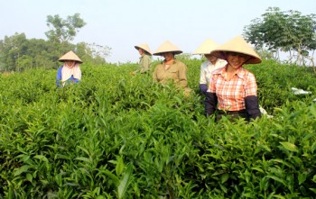 Phát huy truyền thống, xây dựng Thái Nguyên trở thành tỉnh giàu có, phồn thịnh theo lời Bác dặn