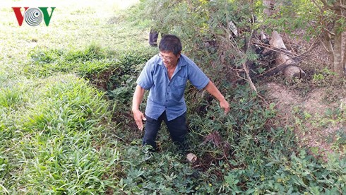 nguoi dan tien giang keu cuu vi dong kenh tac nghen o nhiem