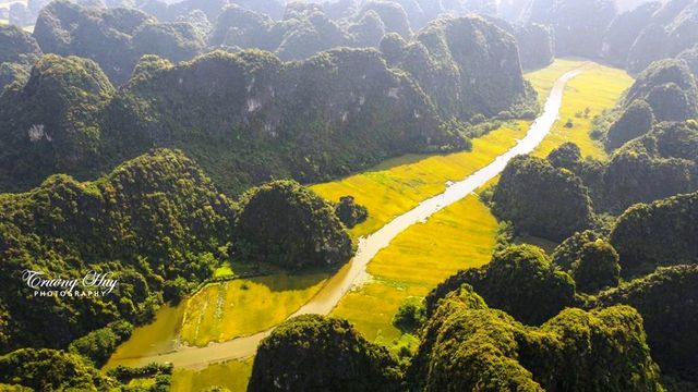 dep me hon khi mua vang tam coc vao chinh vu