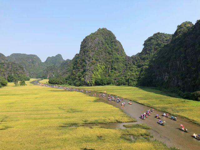 dep me hon khi mua vang tam coc vao chinh vu