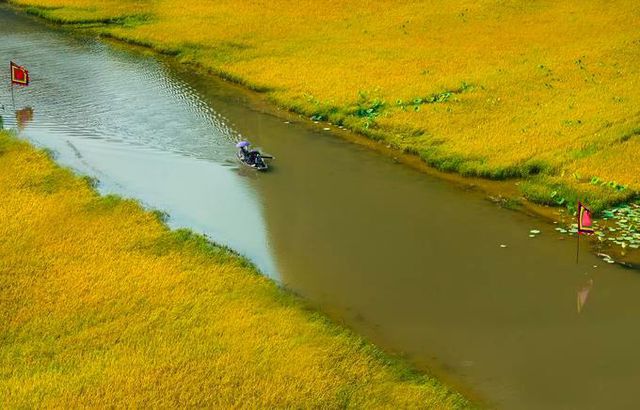 dep me hon khi mua vang tam coc vao chinh vu