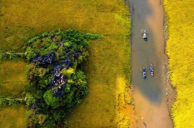 dep me hon khi mua vang tam coc vao chinh vu