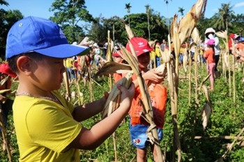 Đưa trẻ em thành phố về các xã nông thôn mới học làm... nông dân