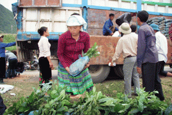 Huyện tinh giản ban bệ, nông dân giảm nghèo nhanh