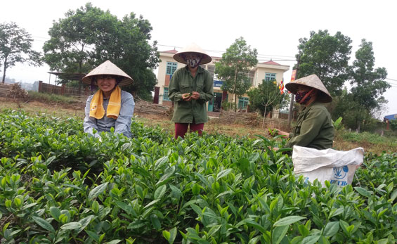 tung buoc xay dung thuong hieu che hoang nong