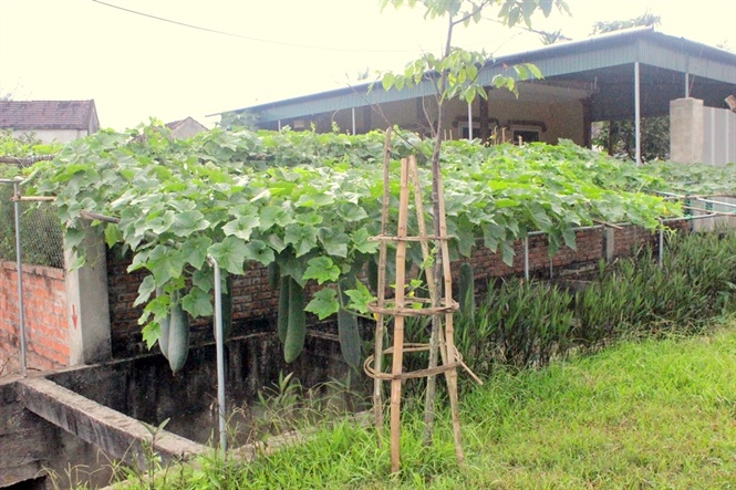 Tiêu chí thứ 20 chỉ có ở Hà Tĩnh trở thành thương hiệu riêng tieu chi thu 20 chi co o ha tinh tro thanh thuong hieu rieng