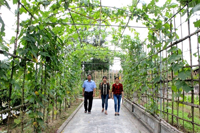 Tiêu chí thứ 20 chỉ có ở Hà Tĩnh trở thành thương hiệu riêng tieu chi thu 20 chi co o ha tinh tro thanh thuong hieu rieng