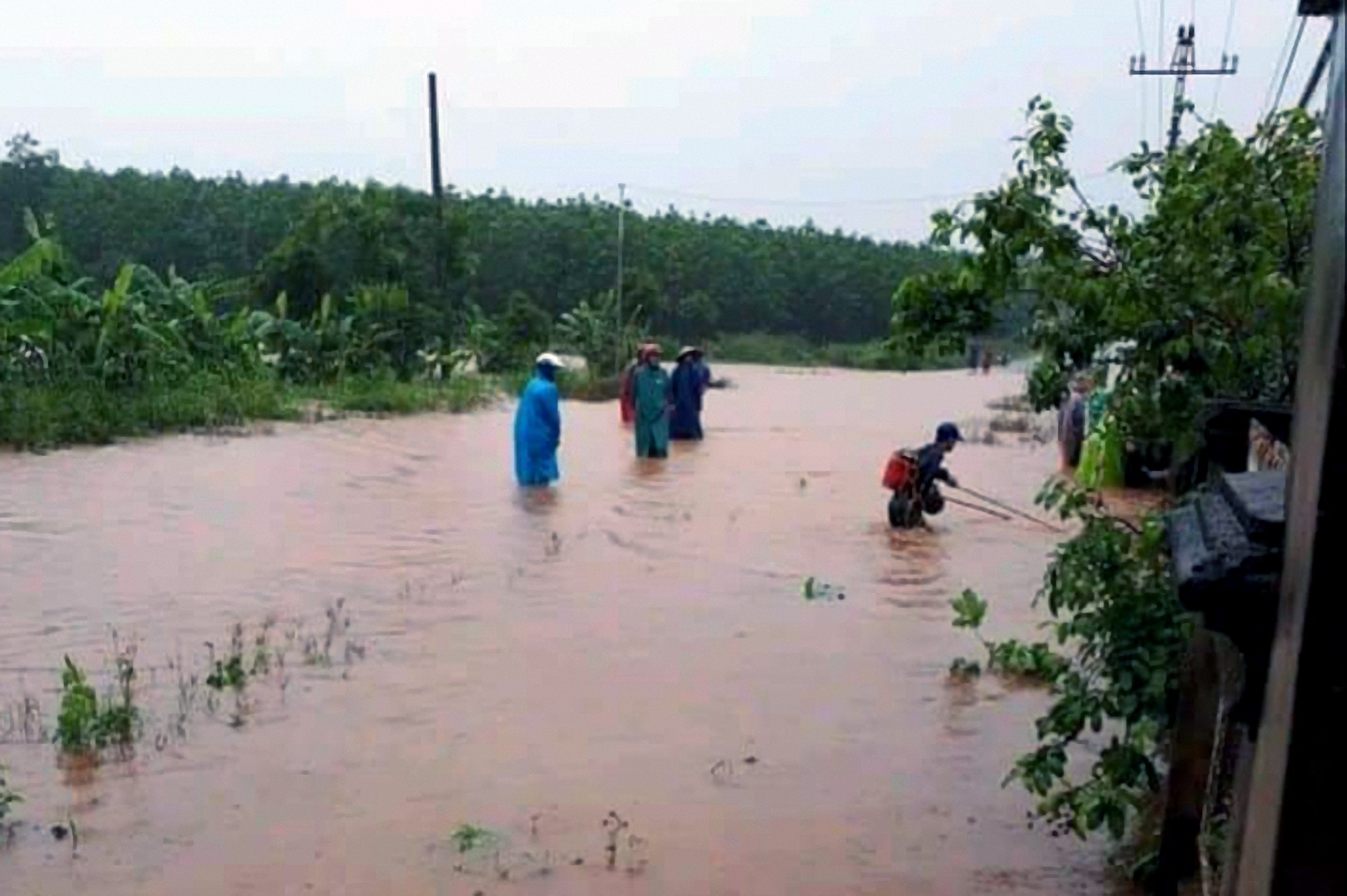 lu lon nhan chim hang chuc ngoi nha cuon troi nhieu tai san