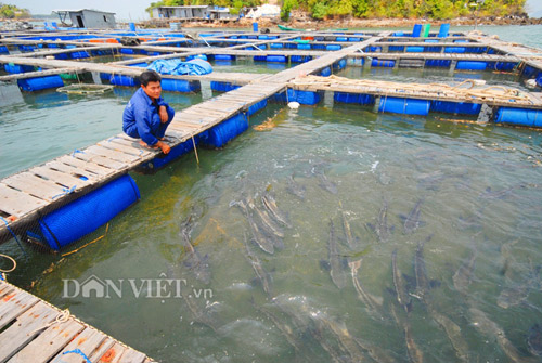 kien giang lan toa mo hinh dan van kheo giup dan tang thu nhap