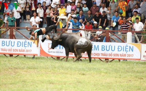 choi trau do son chi la thu tro choi nup bong le hoi