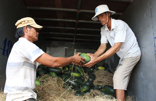 nong nghiep vung tay nam bo mat trang 3 nhat