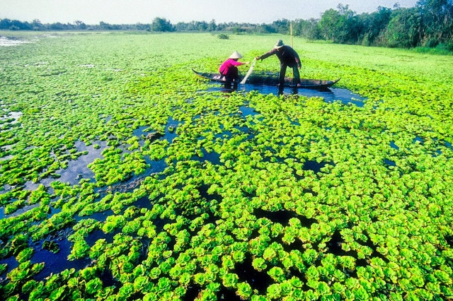 8 diem den o viet nam cho nguoi thich di du lich mot minh