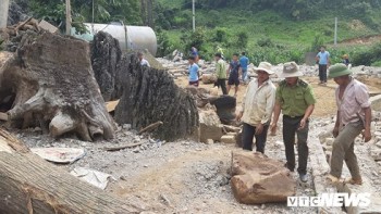 Rùng mình nghe kể luật ngầm ở sào huyệt ma tuý Lóng Luông