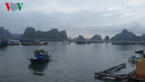 cac tinh tu quang ninh den ha tinh khan truong ung pho voi bao so 3