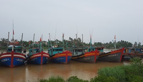 cac tinh tu quang ninh den ha tinh khan truong ung pho voi bao so 3