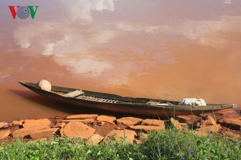 Sông Cu Đê tại Đà Nẵng nước đỏ quạch, tôm cá chết hàng loạt song cu de tai da nang nuoc do quach tom ca chet hang loat