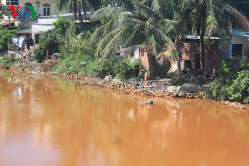 Sông Cu Đê tại Đà Nẵng nước đỏ quạch, tôm cá chết hàng loạt song cu de tai da nang nuoc do quach tom ca chet hang loat