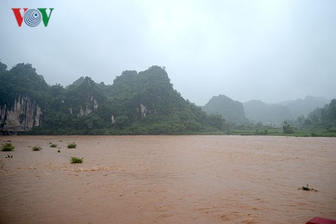 hang tram nguoi dan oc dao xuan lung lang son mong moi mot cay cau