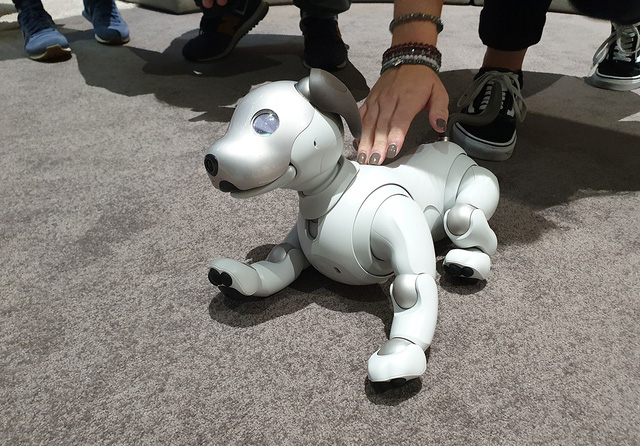 chu cho robot aibo hoi sinh hut khach xem tai trien lam ifa 2018