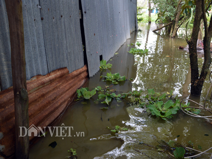 ca mau sau 2 nam cong nhan dan xa nong thon moi o trong ngap lut