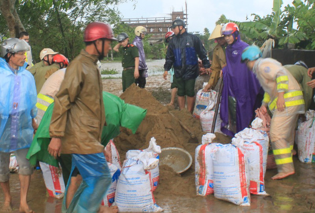 vo de hang tram nha dan chim trong nuoc lu