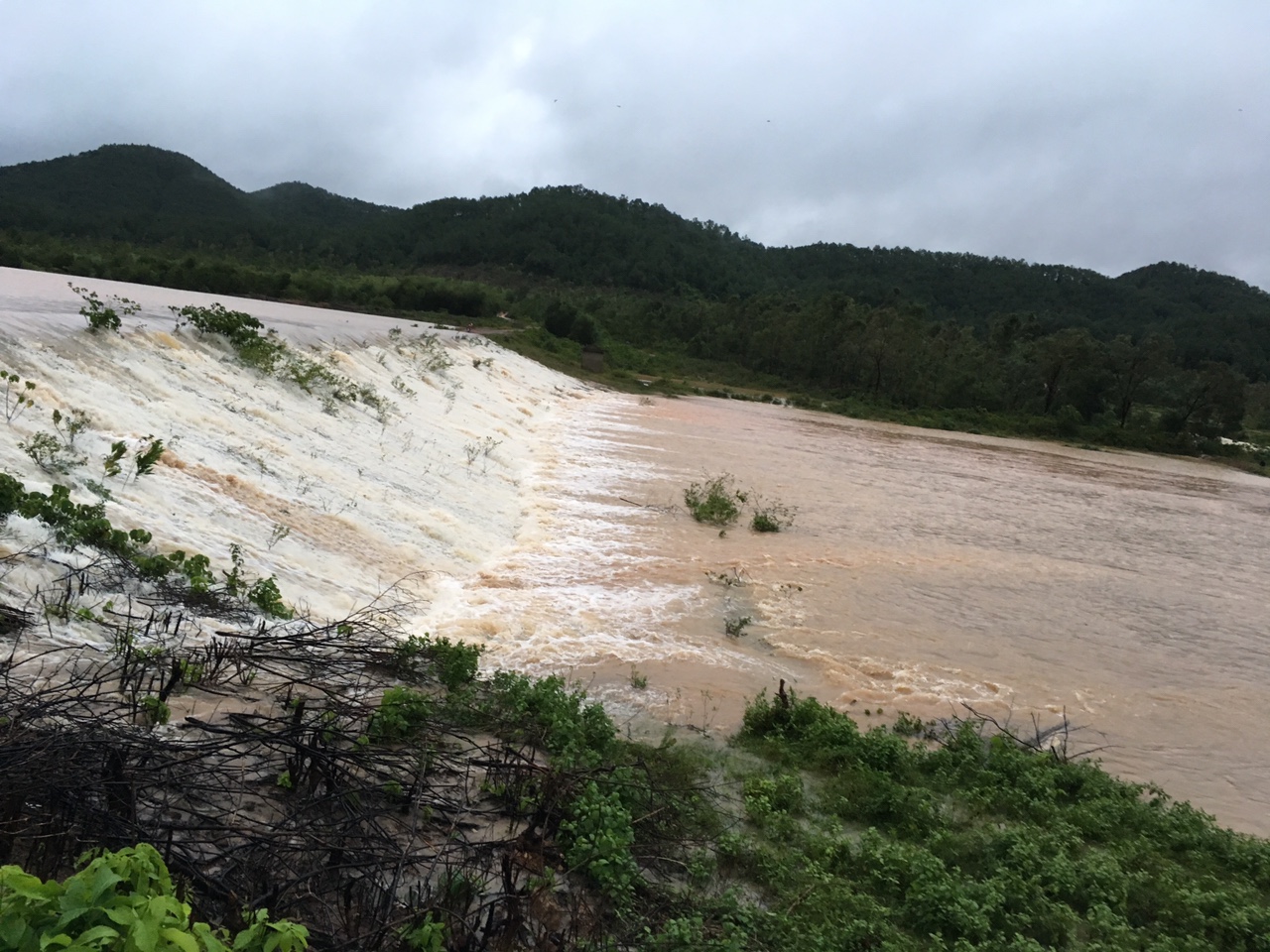 vo de hang tram nha dan chim trong nuoc lu