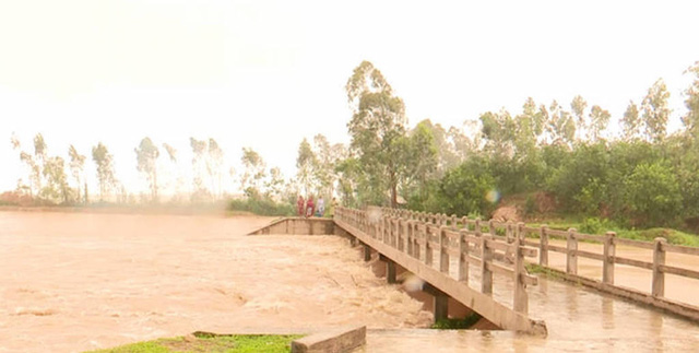 vo de hang tram nha dan chim trong nuoc lu