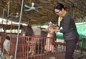 Thanh Trì đạt chuẩn nông thôn mới: Điểm sáng từ mô hình kiểu mẫu